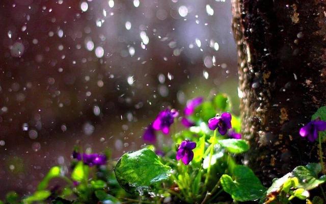 پیش‌بینی بارش رگباری باران و تگرگ در خراسان رضوی