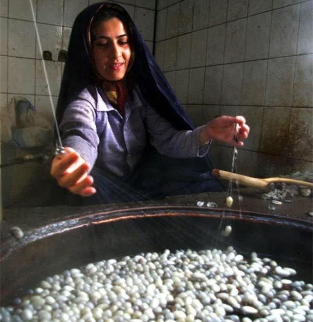 جشنواره ابریشم در تربت حیدریه پایتخت ابریشم کشور برگزار می‌شود