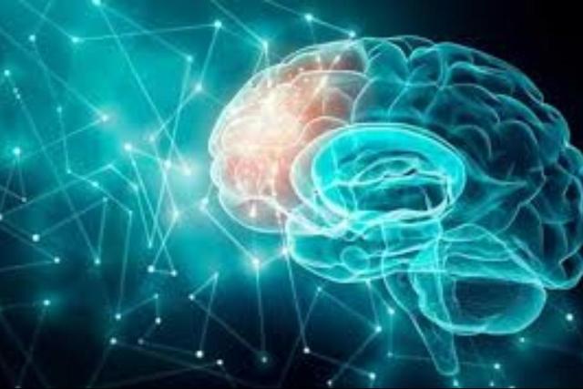پژوهش ایرانی با حمایت بنیاد علم ایران در مسیر درمان آلزایمر
