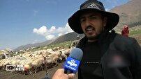 کوچ بهاره عشایر اردبیل از قشلاق تا ییلاق