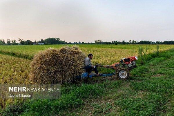 زمین‌های درجه یک کشاورزی سرمایه راهبردی کشور در تأمین امنیت غذایی است