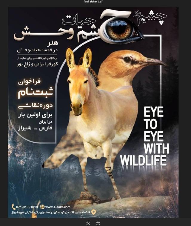 برگزاری رویداد ملی «چشم در چشم طبیعت» برای حفاظت از میراث زنده فارس
