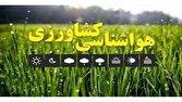 تنظیم و مدیریت آبیاری باغات و مزارع در دستور کار قرار بگیرد