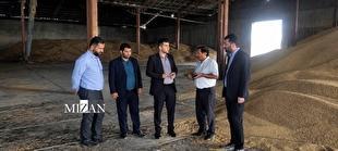 دادستانی شهرستان رامیان به مشکلات مراکز خرید تضمینی گندم ورود کرد