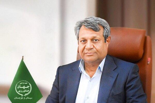 ۸۷ پروژه کشاورزی در سیستان و بلوچستان آماده افتتاح شد؛ اشتغال ۲۵۴۹ نفر