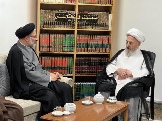 آیت‌الله سبحانی: موقوفات صرف کارهای تبلیغی شود