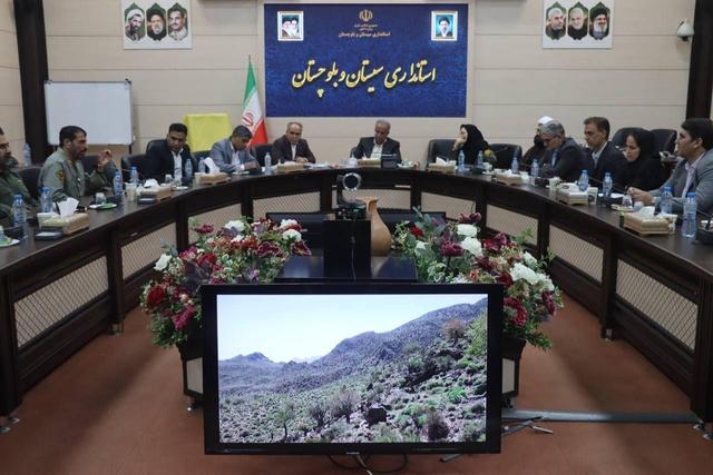 استاندار: ظرفیت‌های طبیعی سیستان و بلوچستان باید به اقتصاد استان پیوند بخورد