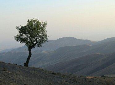 استقرار هوای گرم و آغاز کاهش تدریجی دما از فردا
