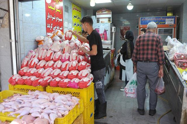 تقاضا در بازار طیور آذربایجان‌غربی کاهش یافت/ قیمت مرغ کمتر از ۲۵۰ هزار تومان