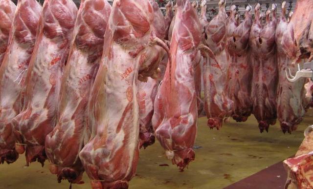 هنوز مجوز واردات گوشت برای شهرداری تهران صادر نشده‌است