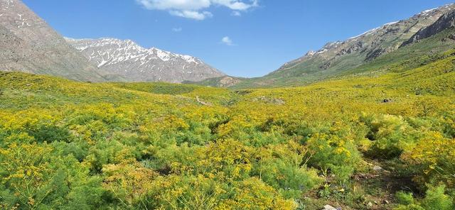 کوه‌گل و چشمه‌میشی؛ شاهکارهای بی‌بدیل در پایتخت برف، آفتاب و آرامش ایران + فیلم