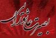 اجرای طرح بصیرت عاشورایی در ۴۵ بقعه متبرکه هرمزگان