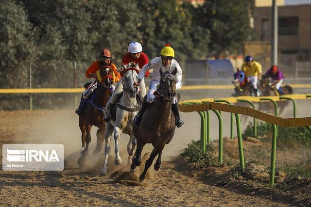 لزوم توجه جدی به توسعه زیرساخت‌های رشته سوارکاری در خوزستان