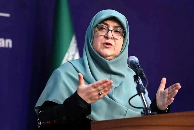 سخنگوی دولت: انسجام ملی مهم‌ترین پشتوانه امنیت کشور است