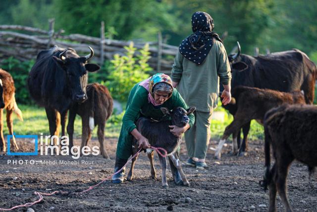 استاندار مازندران: توسعه روستاهای استان با تخصیص ۳.۶ همت اعتبار شتاب می‌گیرد
