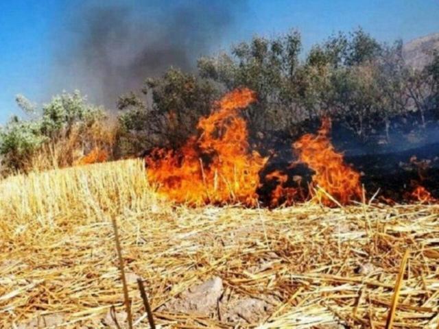 اخبار کوتاه/ رسانه‌های اردبیل پیامد سوزاندن کاه و کلش را اطلاع‌ دهند
