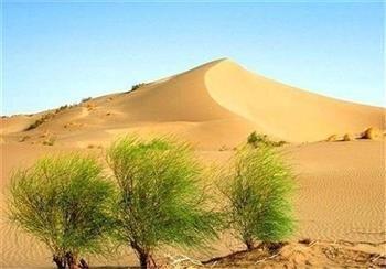 کارنامه ضعیف ۶ دهه مقابله با بیابانزایی در کرمان