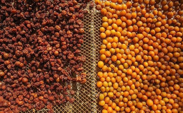 چگونه از یبوست جلوگیری کنیم؟