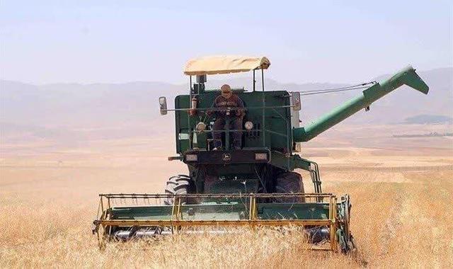 آغاز فصل برداشت جو در آذربایجان‌غربی؛ پیش‌بینی تولید ۱۰۵ هزار تن محصول