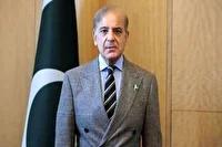 هیئت عالی رتبه پاکستان عازم سوئیس شد