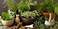 مصرف خودسرانه داروهای گیاهی خطرناک است