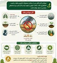 ممنوعیت سوزاندن بقایای گیاهی در چهارمحال و بختیاری
