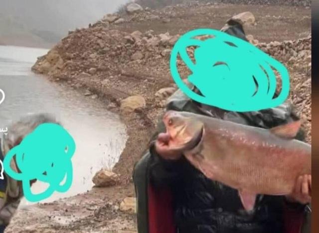صیاد متخلف فضای مجازی در سروآباد شناسایی و به مراجع قضایی معرفی شد