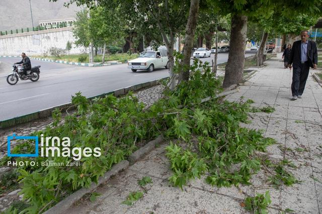 هشدار سطح نارنجی برای البرز / وزش باد شدید در ارتفاعات و مناطق کوهستانی