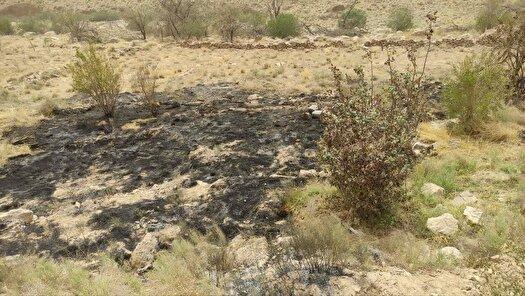آتش سوزی ۲ هزار متر مربع از باغات روستای بابامیر در دهستان میانکوه مهریز