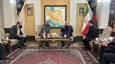 ورود وزیرکشور پاکستان به تهران