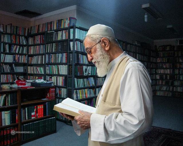رهبر شهید انقلاب به کدام آثار ادبی خارجی علاقه داشتند؟