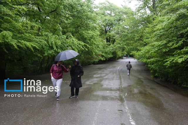 تداوم ابرناکی و رگبار پراکنده باران در ۵ استان نوار شمالی کشور