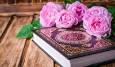 ۳۷۳ دانش آموز البرزی در مرحله استانی مسابقات قرآن برگزیده شدند