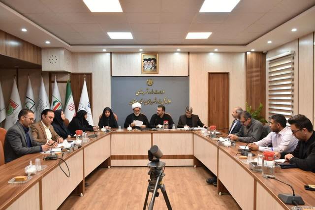 تا پایان تابستان ۱۴۰۵ مشمولان طرح جوانی جمعیت شهر سمنان ساماندهی می‌شوند