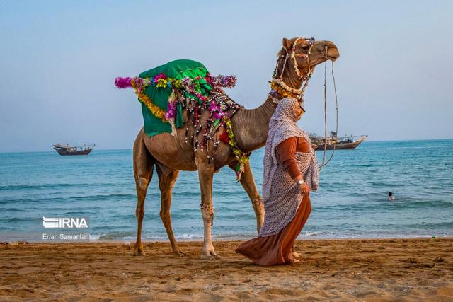 زمان علیه واشنگتن؛ چرا گزینه نظامی آمریکا در تنگه هرمز به بن‌بست رسیده است؟