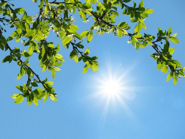 آسمان صاف در اغلب مناطق کشور 
