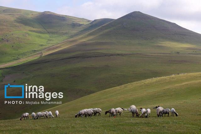 آسمان گیلان نیمه ابری و دما کاهشی شد