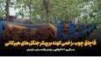 فیلم/ قاچاق چوب زخم کهنه بر پیکر جنگل‌های هیرکانی