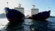 India to see huge benefits from Arctic sea route – maritime expert (VIDEO)
