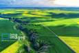 کشاورزان گیلان بیش از ۵۴ هزار تن کود دریافت کردند