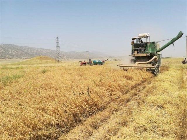 دستگاه مخصوص برداشت حبوبات در بوکان رونمایی شد