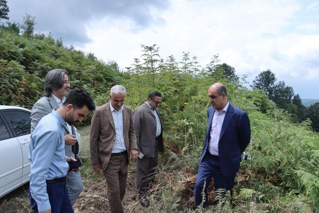 استاندار گیلان: ۹۱ هکتار عرصه جنگلی با همراهی مردم در طرح «بانی جنگل» احیاء شد