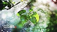 هشدار بارش‌های رگباری و آبگرفتگی معابر در نیمه شمالی آذربایجان‌شرقی