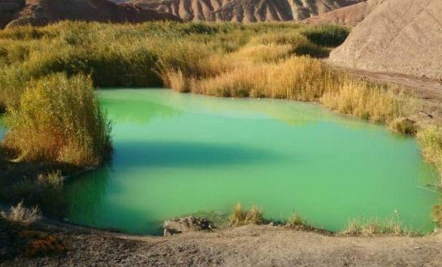ثبت رسمی چهار عرصه تالابی سمنان در تصویبنامه هیات وزیران