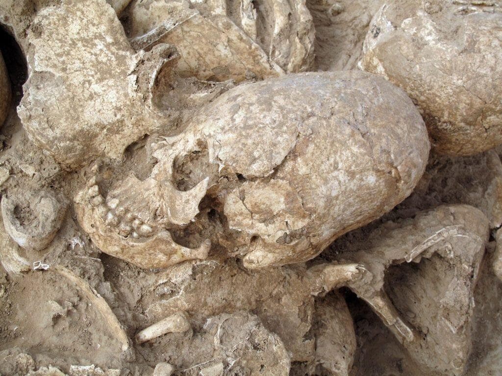 رازهای جمجمه دختری که 6200سال قبل در جنوب ایران که با ضربه به سرش کشته شد