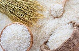 قیمت برنج هندی امروز ۱۹ مرداد ۱۴۰۴ / کیسه ۱۰ کیلویی برنج خاطره چند؟ + جدول