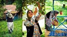 برداشت فندق از جنگل و پخت شیرینی توسط بانوی روستایی (فیلم)