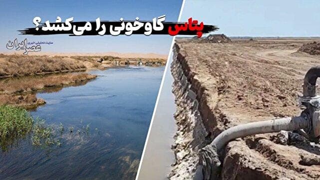 پتاس گاوخونی را می‌کُشد ؟ گرفتن آخرین رمق‌های تالاب / تکرار بلایی که بر سر دریاچه ارومیه آوردند (فیلم)