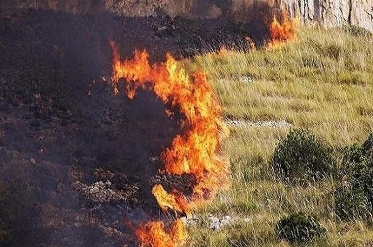 یک مقام مسئول درباره آتش‌سوزی تالاب هورالعظیم: در بخش عراقی تالاب، آتش‌سوزی‌ ها دائمی و گسترده است/ تا زمانی که عراق سهم آب خود را رهاسازی نکند، این روند ادامه خواهد داشت