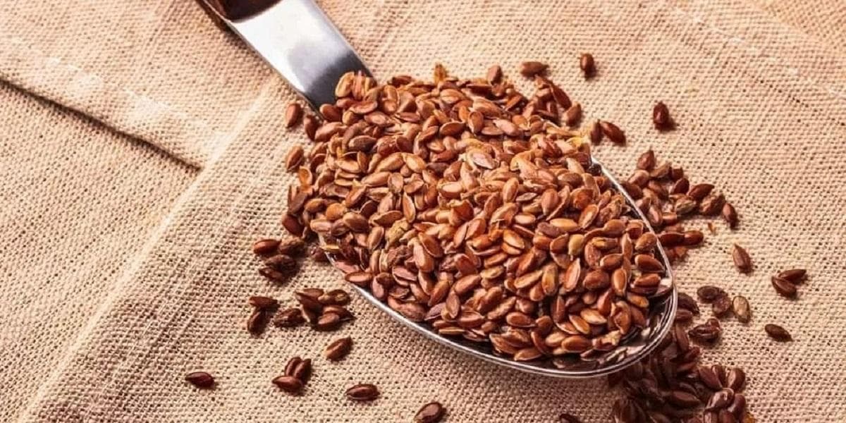 فواید شگفت‌انگیز مصرف روزانه تخم کتان برای سلامتی بدن
